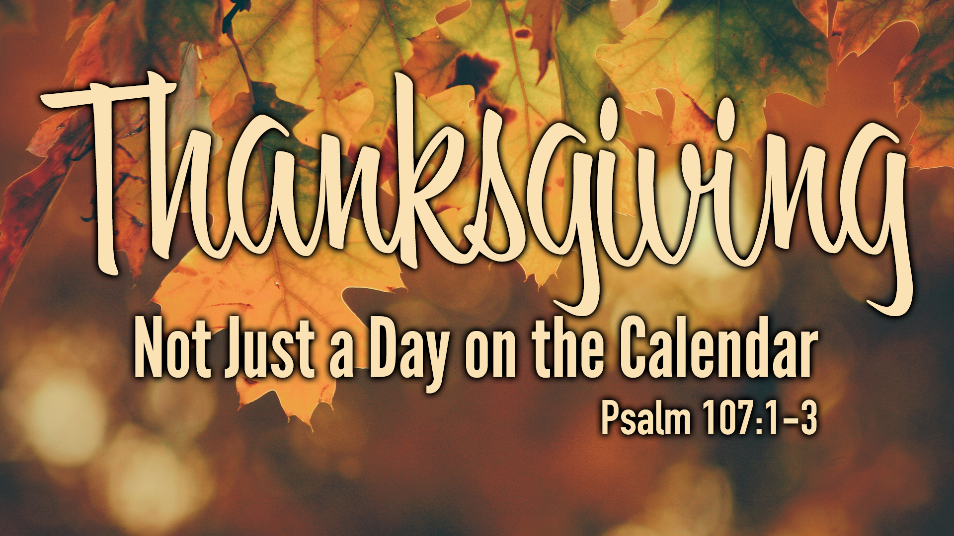 Thanksgiving: Not Just a Day on the Calendar