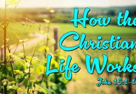 How the Christian Life Works