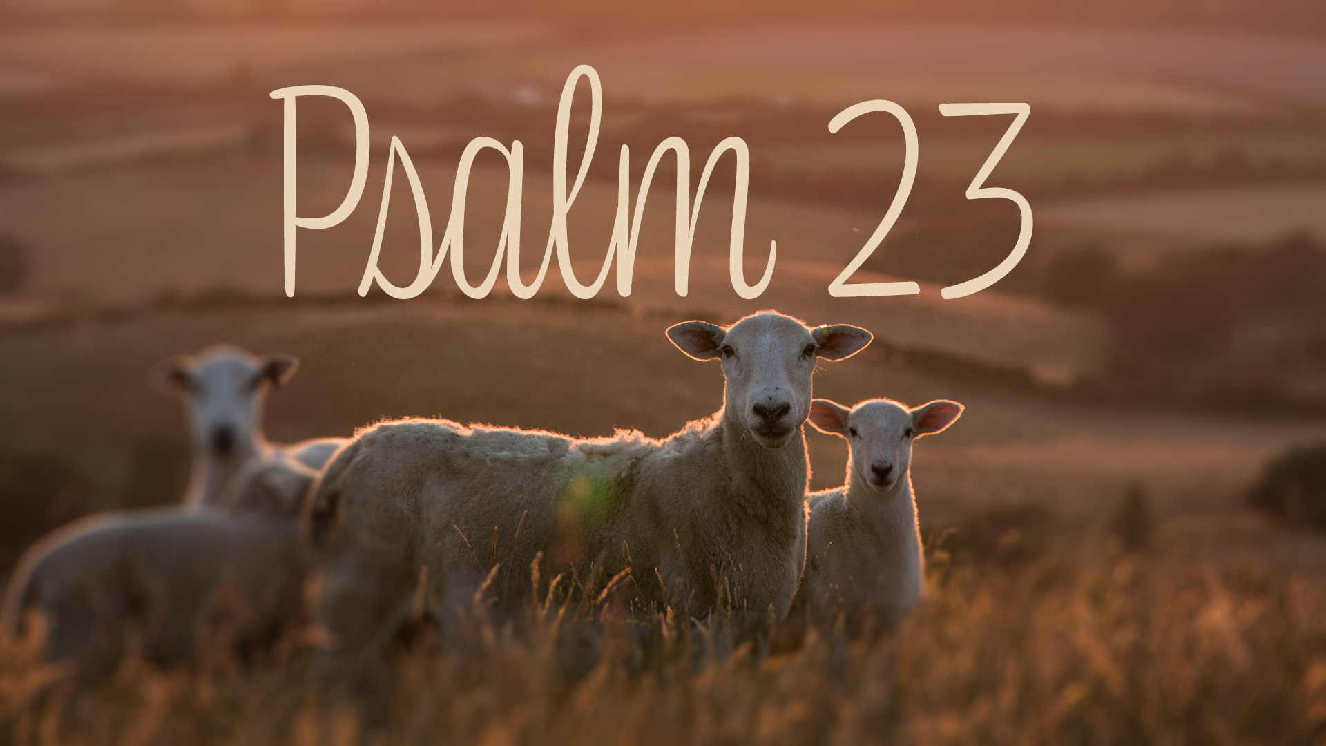 Psalm 23