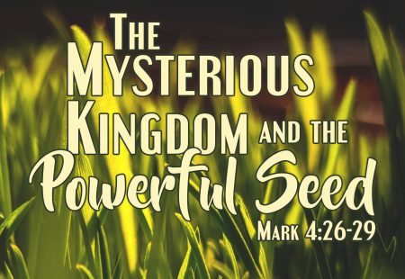The Mysterious Kingdom and the Powerful Seed